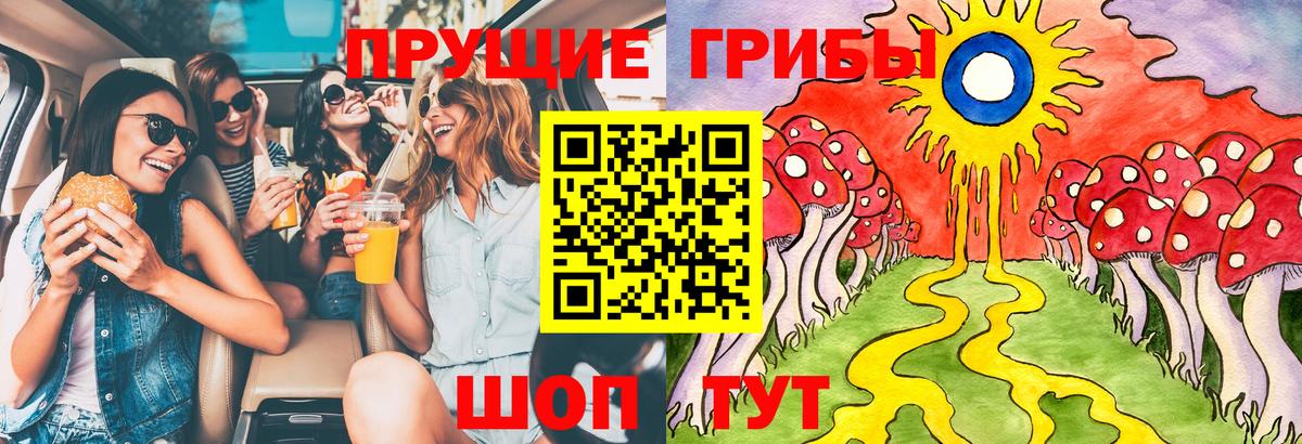 Псилоцибиновые грибы Magic Shrooms Кисловодск