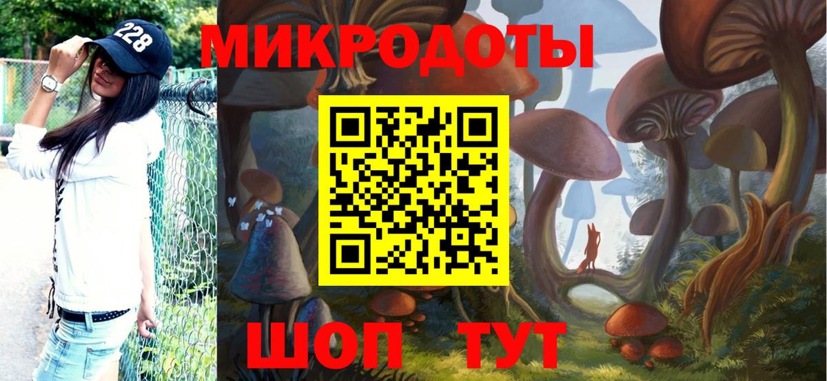 Галлюциногенные грибы мухоморы  Вход с VPN  купить наркоту  Кисловодск 